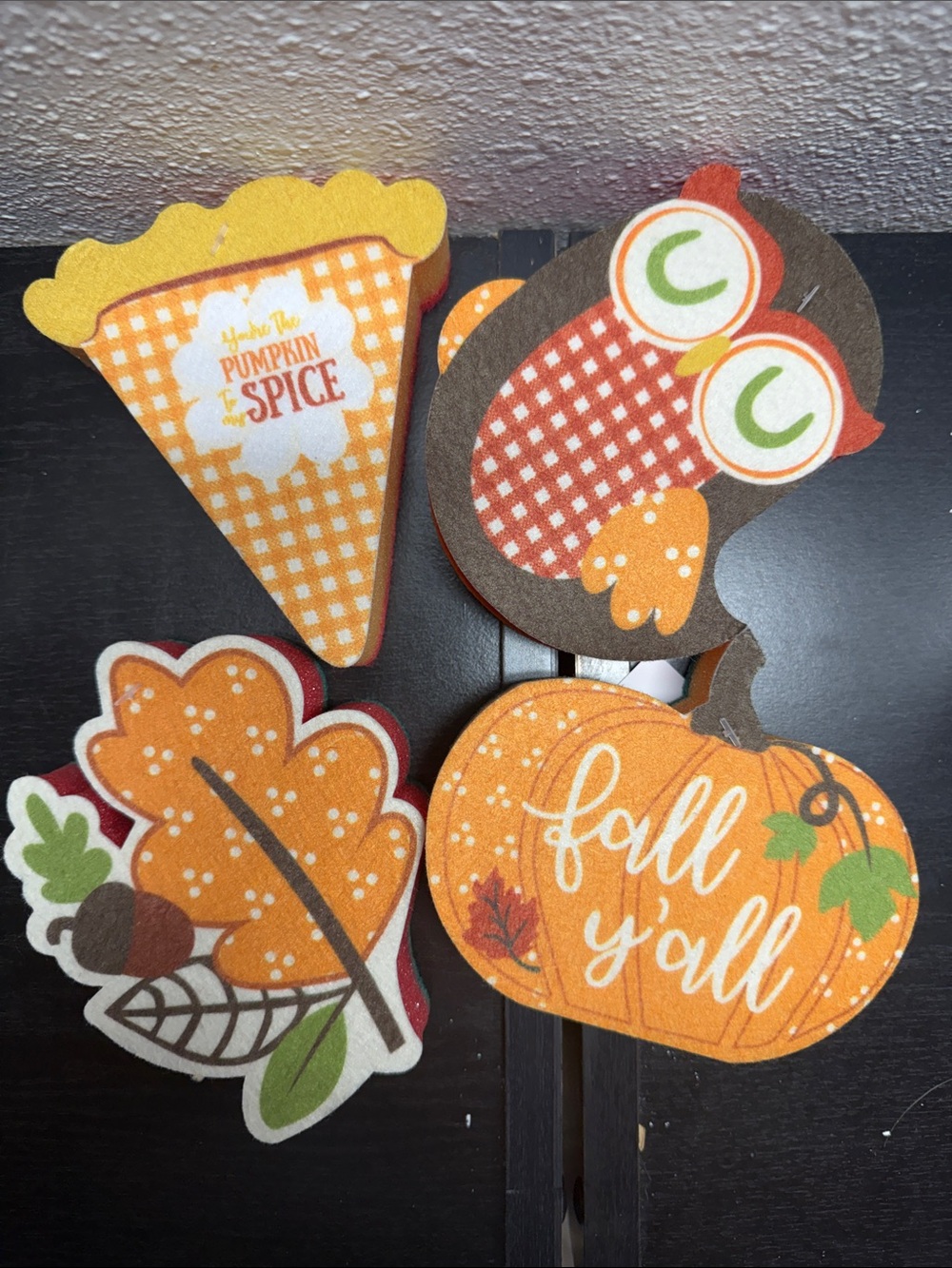 Fall Themed Sponges Set of 4